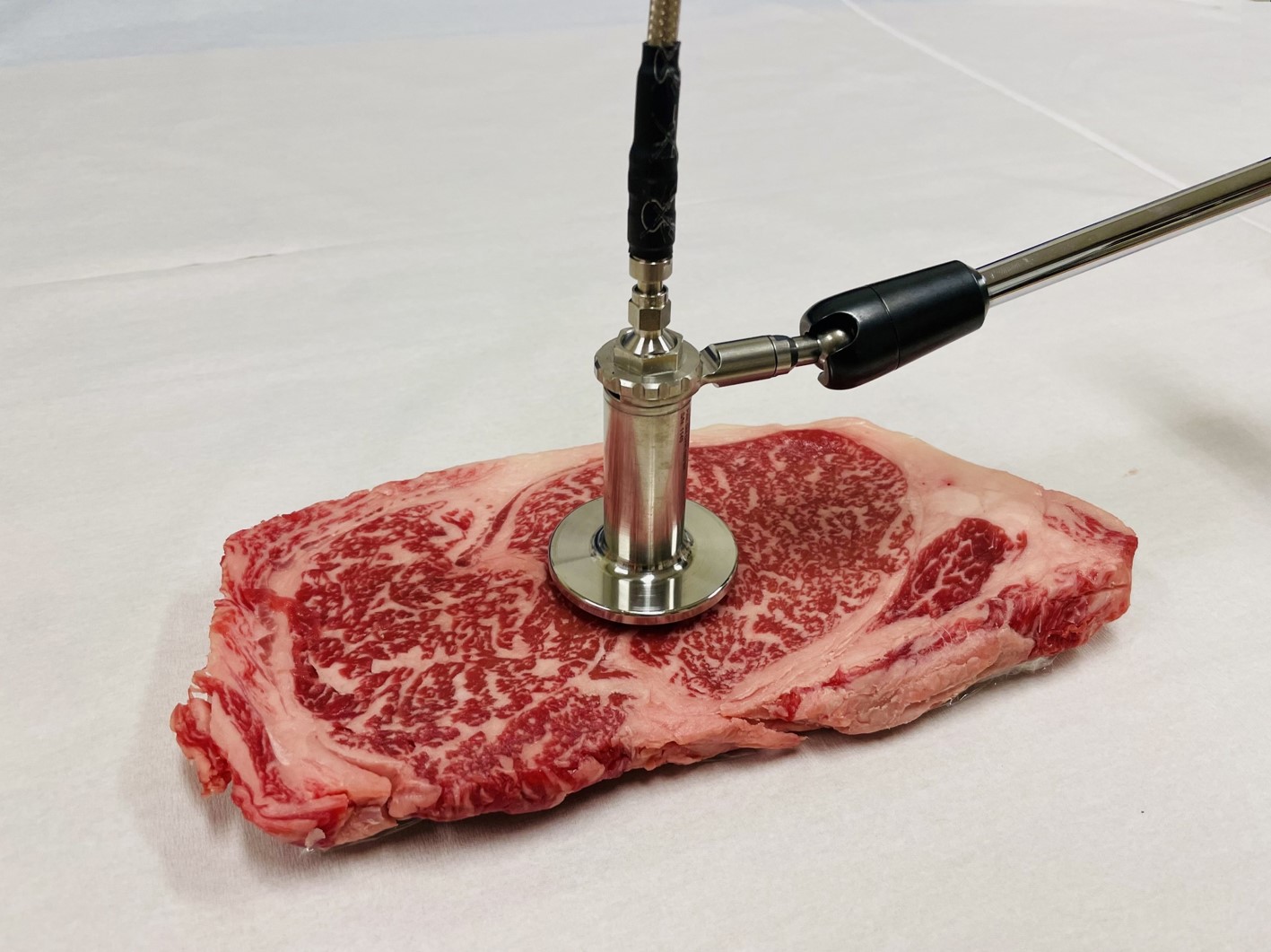 食肉の複素誘電応答に基づく肉質評価技術