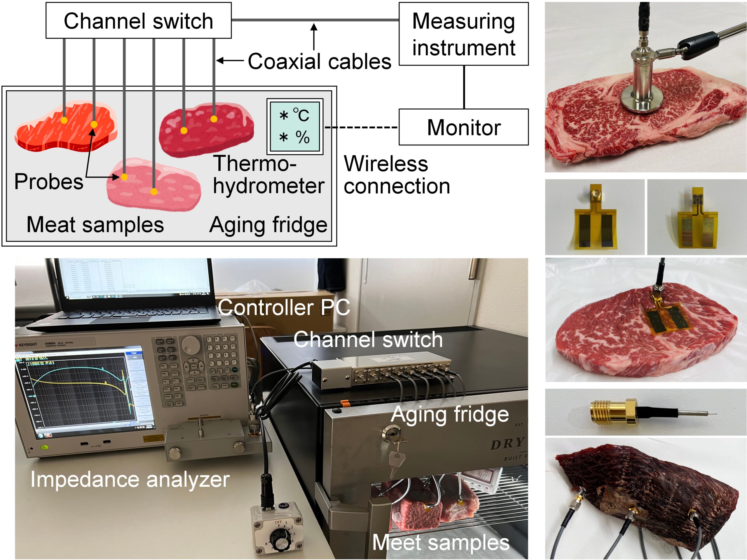 食肉の複素誘電応答に基づく肉質評価技術